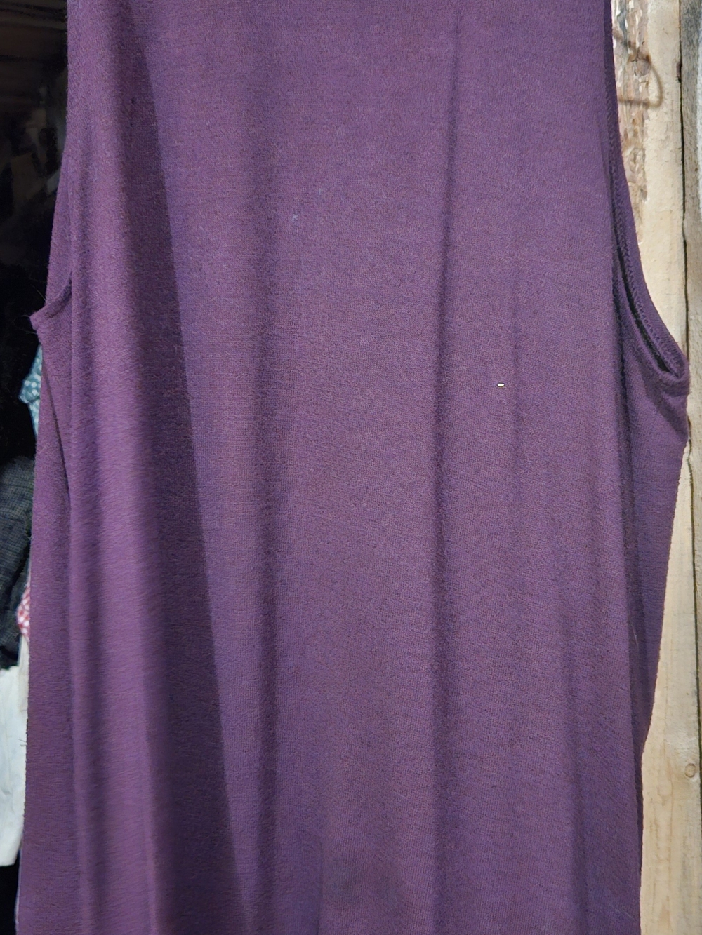 GAP Women's Plum Sleeveless Tank Top